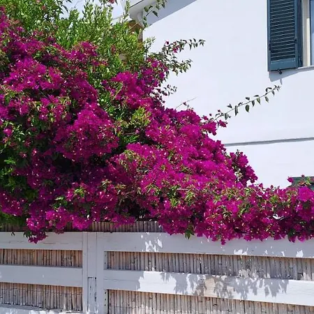 Holiday home Piero's Calasetta